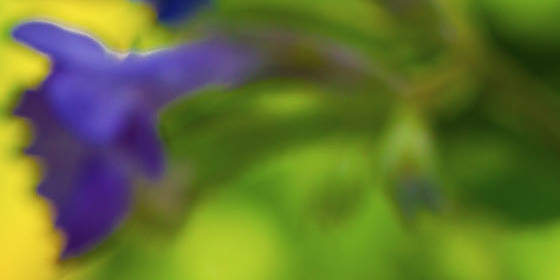 (UK) AU TGA pregnancy category: B1 US FDA maternity sector: B Comments: online pharmacy (R) is not advised for women of childbearing possible unless making use of proper contraceptive procedures.